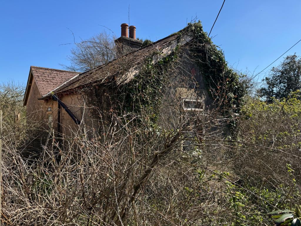 Lot: 135 - DETACHED BUNGALOW FOR TOTAL REFURBISHMENT WITH POTENTIAL - Front of bungalow 2